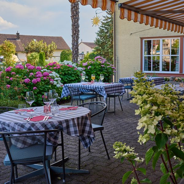 25-06-21_250621_Garten_190